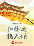 红楼梦之挽天倾免费阅读