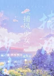 捕风hp
