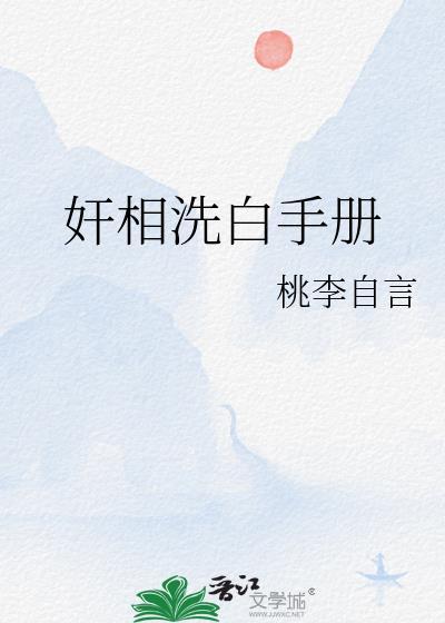 什么是洗白手册