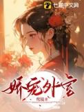 娇宠外室手册