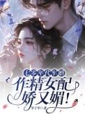 七十年代军婚宠文