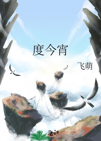 度今宵飞荫