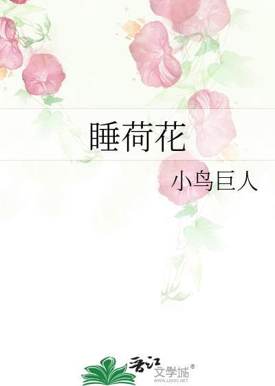 睡荷花txt