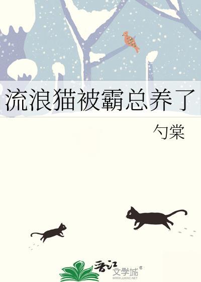 猫被流浪猫欺负