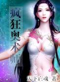 疯狂奥术师 聚合中文网