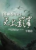 斗破苍穹之无上巅峰百科