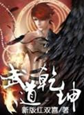 武道乾坤txt