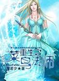 重生全职法师