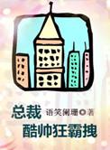 总裁酷帅狂霸拽免费