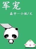 军宠排行榜完结版