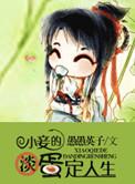 小妾的淡定人生电影在线看