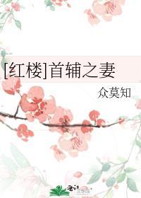 红楼首辅之妻众莫如