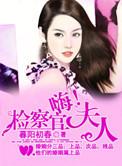 嗨检察官大人txt