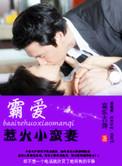 总裁霸爱惹火