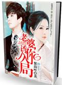 老婆诱你入局紫韵叶全文免费阅读