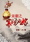宋朝之寡妇好嫁讲的什么