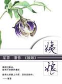 姨娘的电视剧