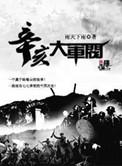辛亥大军阀完整版txt