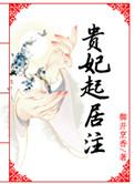 贵妃起居注在线阅读