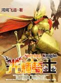 光辉骑士的字面意义