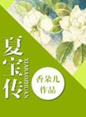 重生之夏宝传4