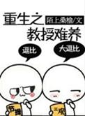 重生的教授hp