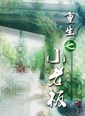 重生之小老板讲的什么