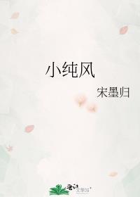 小纯风笔趣阁正版