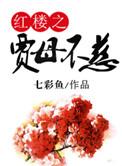 红楼之贾母不慈txt