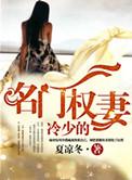 名门暖婚之权少宠妻攻略
