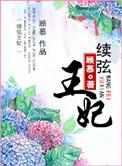 关于续弦王妃的穿越