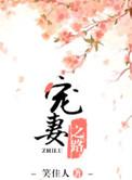 陆王爷的宠妻之路