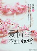 爱情不过如此绿枢TXT