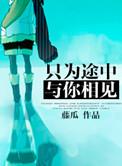 只为途中与你相见内容