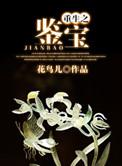 重生鉴宝我真没想当专家