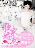 独家婚宠冷少