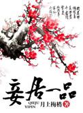 妾居暖阁全本
