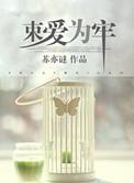 束爱为囚阅读