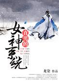 直男的女神系统简介
