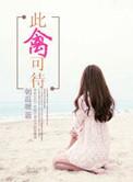 此情可待这首歌表达什么意思