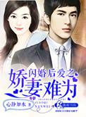 闪婚爱妻完整版免费阅读