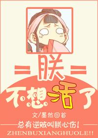 朕不想活了岑睿身世