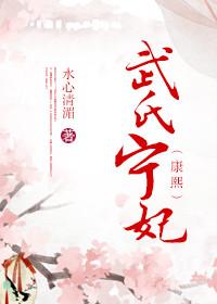 武氏宁妃康熙书包网