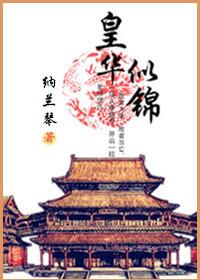 聚华似锦电视剧