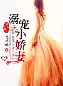 钻石闪婚溺宠小娇妻全文