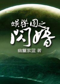 娱乐圈闪婚腐书