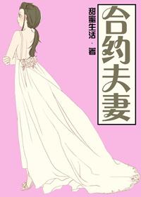 合约夫妻电视连续剧