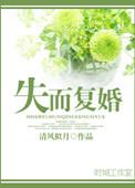 失而复得短篇