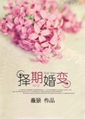 择期婚变讲什么