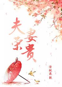 夫荣妻贵简珞瑶